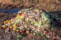 В Калужской области органические отходы будут перерабатывать в компост