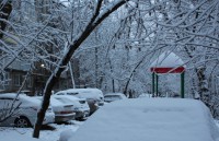 Зима в Калуге продержится до четверга